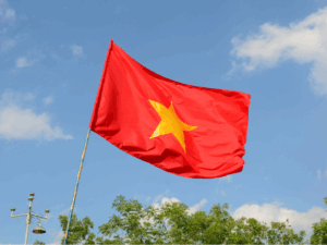 TỘI PHẢN BỘI TỔ QUỐC ĐIỀU 108 BLHS 2015